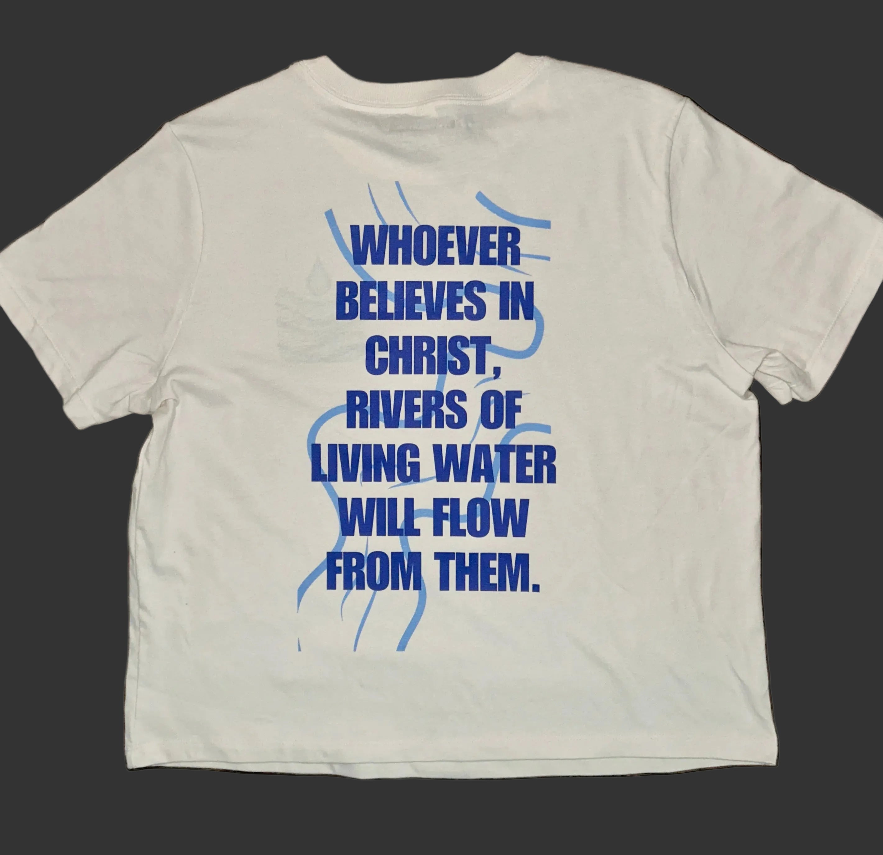 Living Water T-Shirt